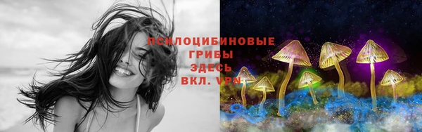 ПСИЛОЦИБИНОВЫЕ ГРИБЫ Зеленокумск