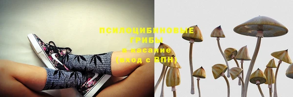 ПСИЛОЦИБИНОВЫЕ ГРИБЫ Зеленокумск
