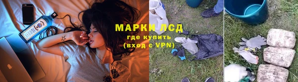 ПСИЛОЦИБИНОВЫЕ ГРИБЫ Зеленокумск