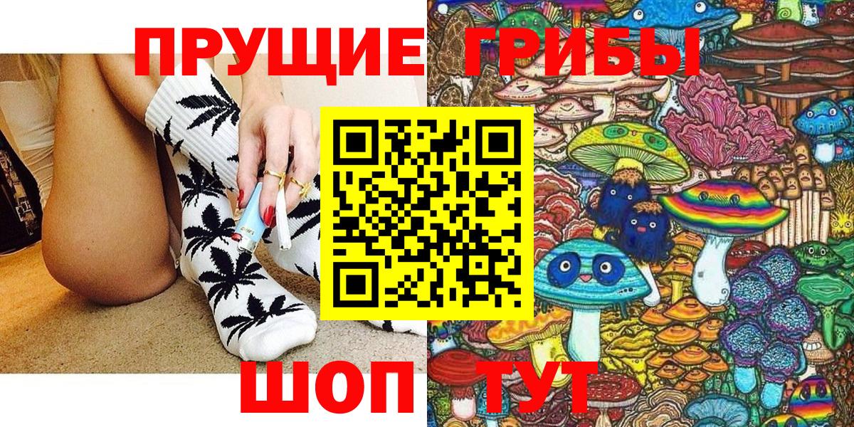 Галлюциногенные грибы Cubensis Славгород