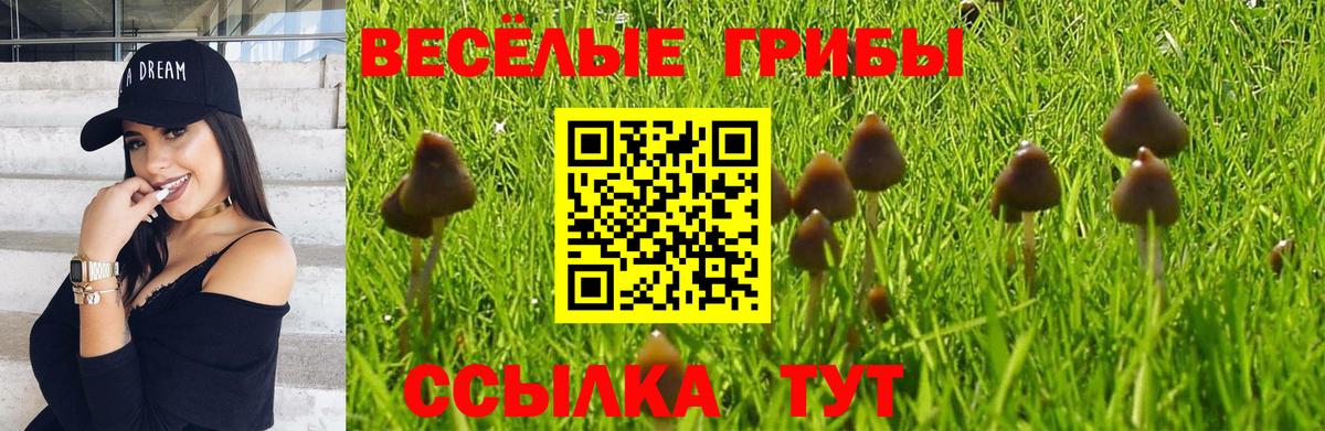 КОКАИН  Вход с VPN  Славгород  Бошки Шишки  Меф МЯУ МЯУ  