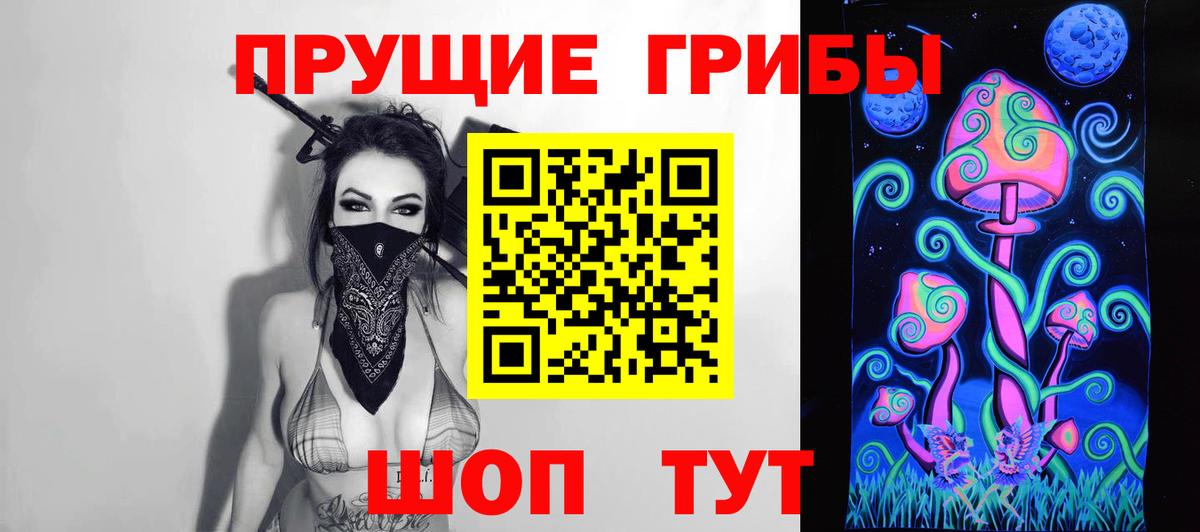 Галлюциногенные грибы Psilocybine cubensis  Вход с VPN  Псилоцибиновые грибы Psilocybe  Славгород 