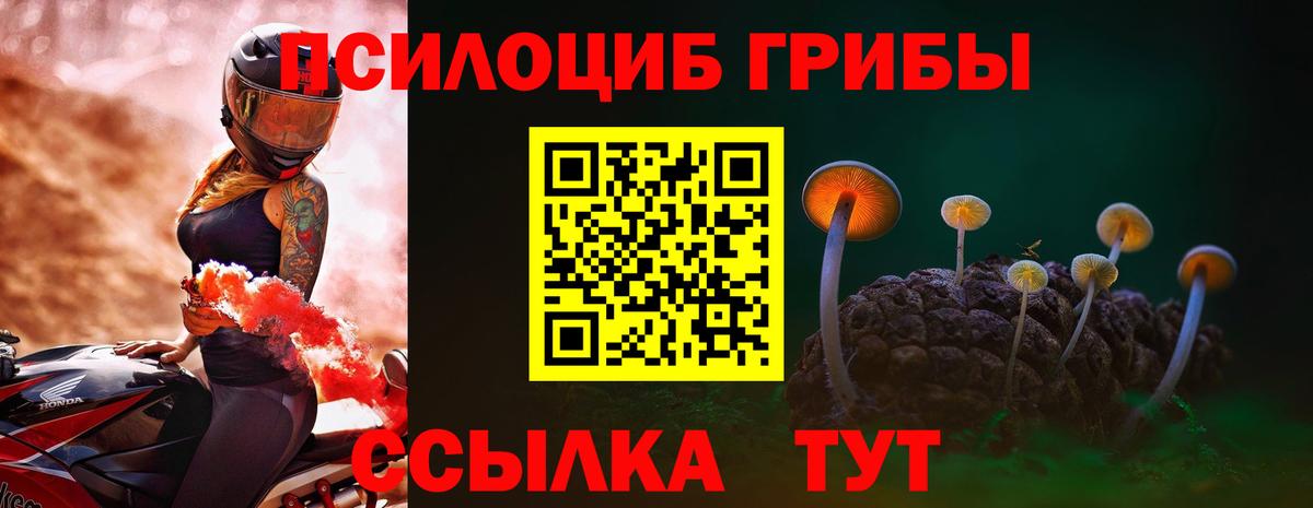 Псилоцибиновые грибы мухоморы  купить  сайты  Славгород 