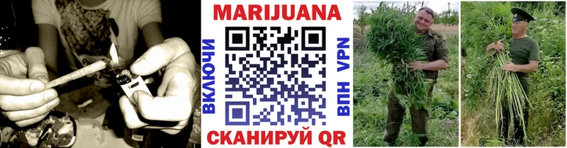 Шишки марихуана SATIVA & INDICA  закладки  Славгород 